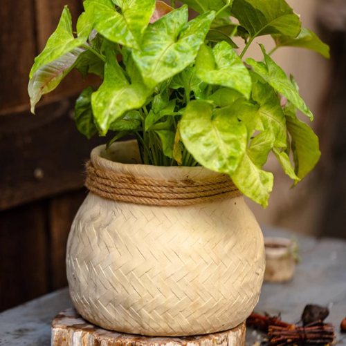 Faux Bamboo Woven Cement Planter