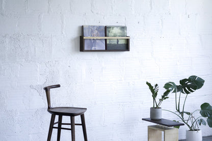 Modern and Versatile Wall Shelf